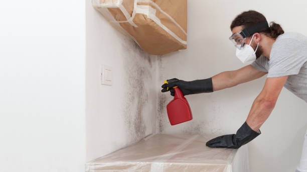 Professional Bathroom Mold Removal technician working in Hempstead, TX